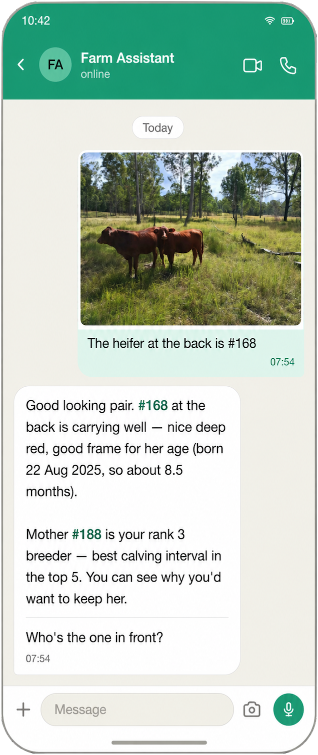 Farm Assistant — livestock
